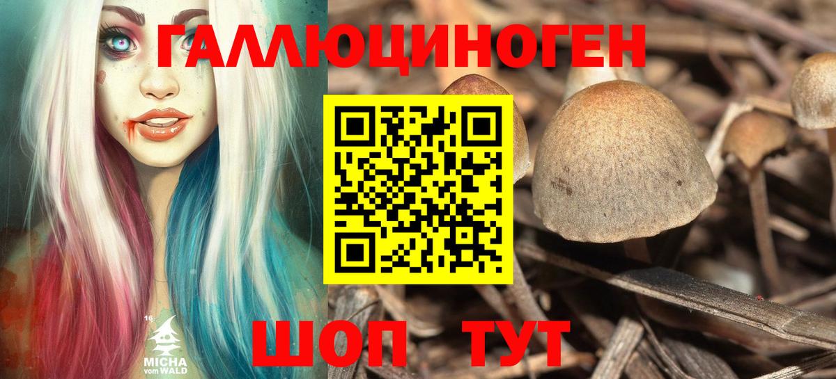 Славянск-на-Кубани  Псилоцибиновые грибы Magic Shrooms  Вход с VPN  Псилоцибиновые грибы Psilocybe 